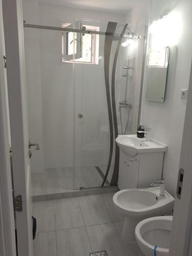 a bathroom with a shower and a toilet and a sink at Apartament max. confort in Tulcea