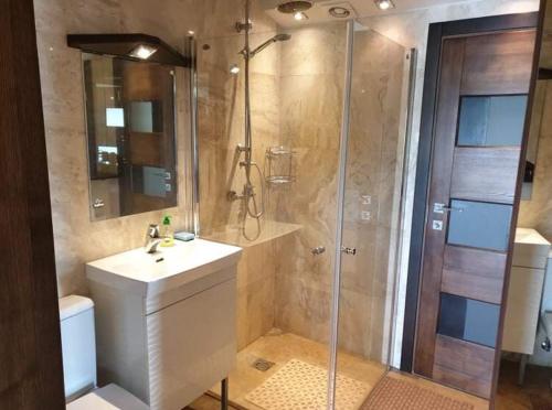 ein Bad mit einer Dusche, einem Waschbecken und einem WC in der Unterkunft Villa Feniksas in Poškai