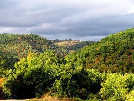 - une vue sur une forêt d'arbres sur une colline dans l'établissement Chambres d'hôtes La maison de Monsieur Chaussette, à Anglès