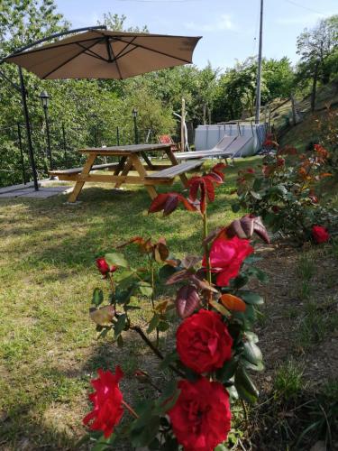 a picnic table with red roses and an umbrella at Da Pietro in Bagni di Lucca