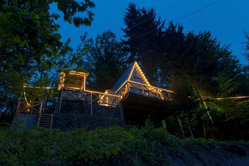 a house lit up at night with lights at Forest House in Dandalo