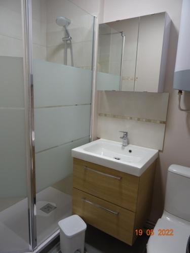 une salle de bain avec un lavabo, une douche et des toilettes dans l'établissement Studio climatisé à 10 min de la plage, à Villers-sur-Mer