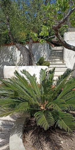 Villa Siriana – Photos 4
