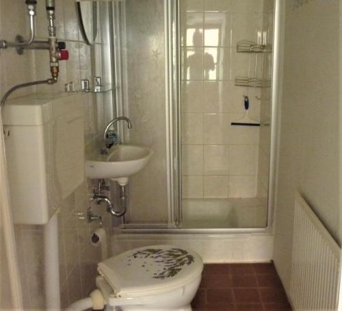 e bagno con doccia, servizi igienici e lavandino. di Ferienhaus Weingart a Finsterbergen