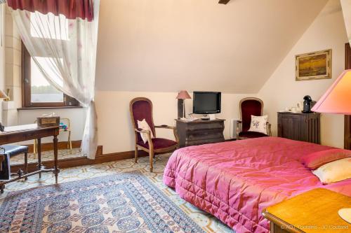 a bedroom with a bed and a desk and a television at Le vieux château de Hommes in Hommes