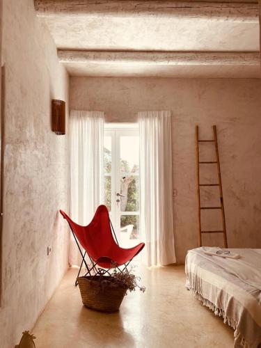 Casa Matelito photo 2