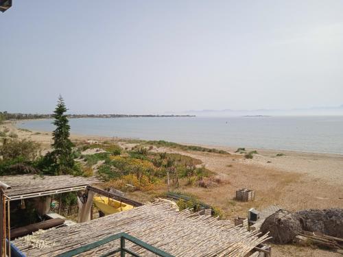 Apartment on the beach near airport