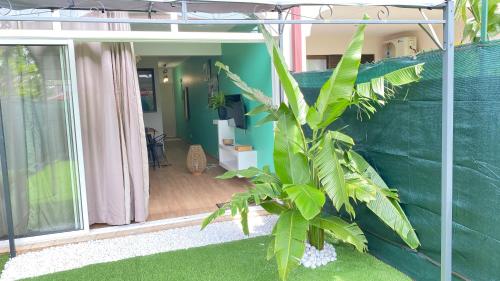 カイエンヌにあるLEs ATELIERS DE LA MADELEINEの部屋中植物家
