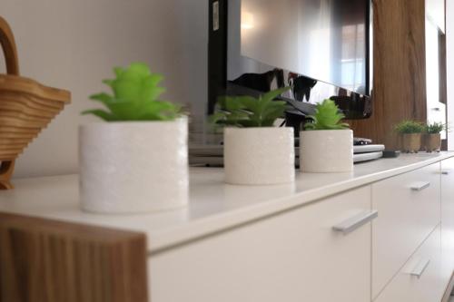 three potted plants sitting on a counter in front of a mirror at APARTAMENTO MORAIRA - 3 Habitaciones in Moraira