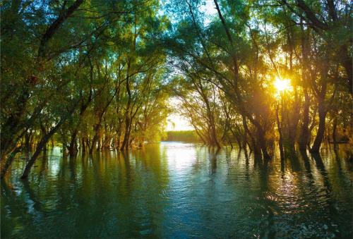a river with the sun shining through a group of trees at La Konac in Murighiol
