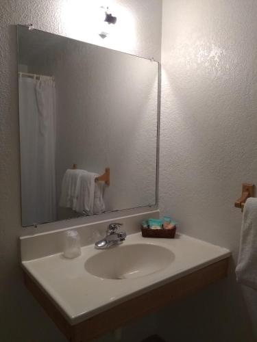 a bathroom with a sink with a large mirror at The Orca Inn in Friday Harbor