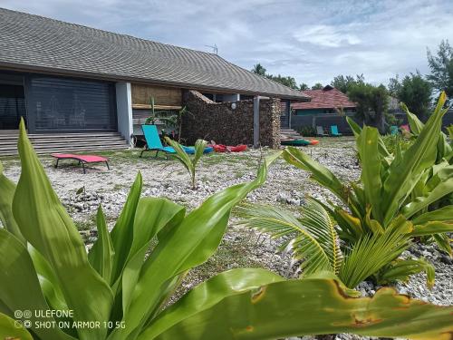 a yard with a house with a chair and plants at Moorea Lodge Bungalow in Temae