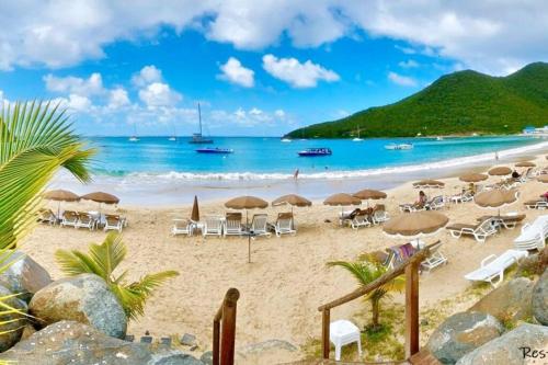 a beach with chairs and umbrellas and the ocean at Kaffa50 - Plage & 3Piscines - Anse Marcel in Anse Marcel 