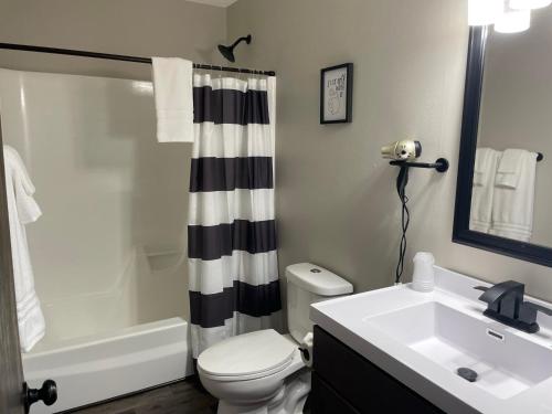 ein Badezimmer mit einem weißen WC und einem Waschbecken in der Unterkunft 3 Bedroom Condo with Lake Pepin views with access to shared outdoor pool in Lake City