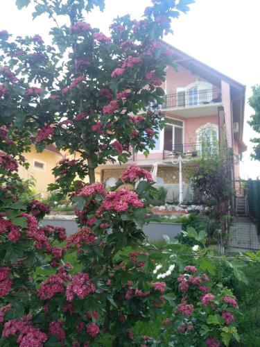 a tree with pink flowers in front of a house at Manor Villa in Hévíz