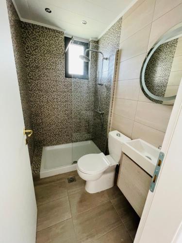a bathroom with a toilet and a shower and a sink at Vixen Apartment in Theologos