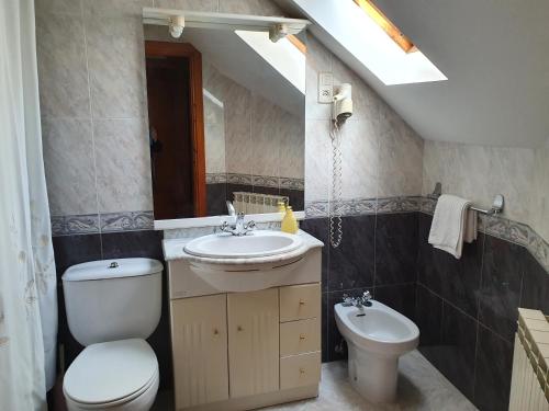 ein Badezimmer mit einem WC, einem Waschbecken und einem Spiegel in der Unterkunft Casa Duplex La Buhardilla in Torla-Ordesa