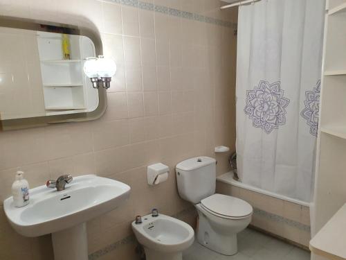 a bathroom with a toilet and a sink and a shower curtain at Apartamento Maladeta in Torla-Ordesa