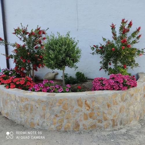 three trees and flowers in a stone planter at La Casa De La Abuela in Setenil