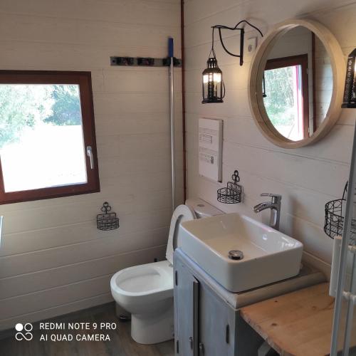 une salle de bain avec un lavabo, des toilettes et un miroir dans l'établissement le Mas de la Jardine, à Velleron