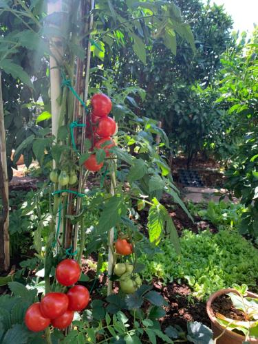 波雷奇Romantic room for two persons的相册照片