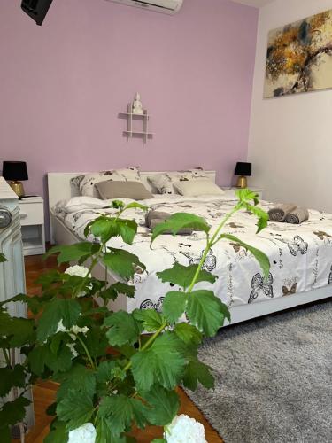 a bedroom with a bed with a plant in front of it at Romantic room for two persons in Poreč