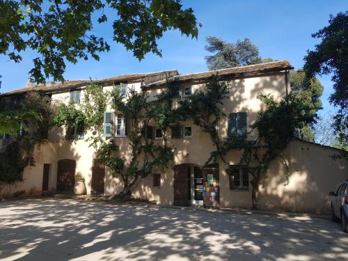 un grand bâtiment blanc avec un arbre devant dans l'établissement Domaine de Valle, à Sorbo-Ocagnano