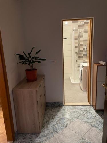 baño con maceta encima de un armario de madera en MANDA, en Kaštela