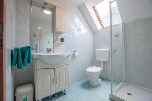 a bathroom with a sink and a toilet and a shower at Bohinj Star Apartments in Bohinj