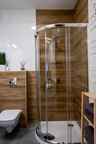a bathroom with a shower and a toilet at Apartamenty ROZETA Poronin in Poronin