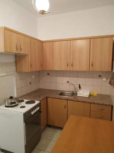 Ett kök eller pentry på Alexander Apartments Nea Koutali