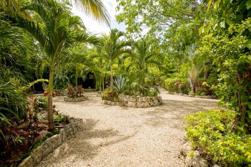 a garden with palm trees and a gravel path at ALDEA JO-YAH in Tulum