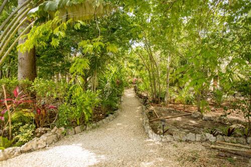 a path through a garden with trees and plants at ALDEA JO-YAH in Tulum