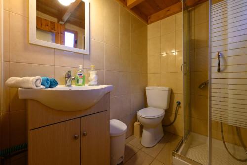 La salle de bains est pourvue d'un lavabo, de toilettes et d'une douche. dans l'établissement Villa Rosa, à Argyrádes