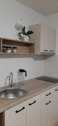 a kitchen with a sink and a counter top at Snegar Apartments in Ohrid