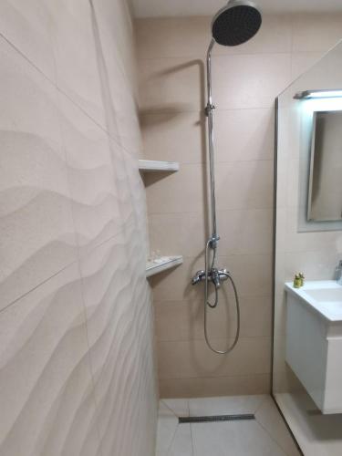 a bathroom with a shower and a sink at Snegar Apartments in Ohrid