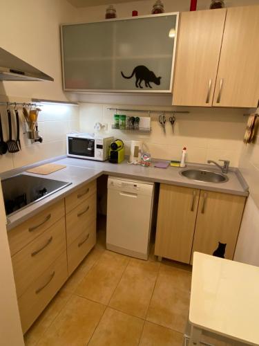 Dapur atau dapur kecil di Apartments Piknik