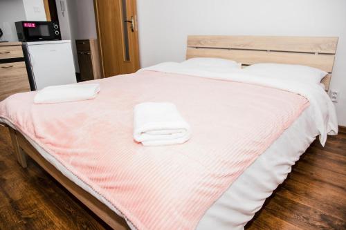 Ένα ή περισσότερα κρεβάτια σε δωμάτιο στο COSY STUDIO IN NOVE ZAMKY