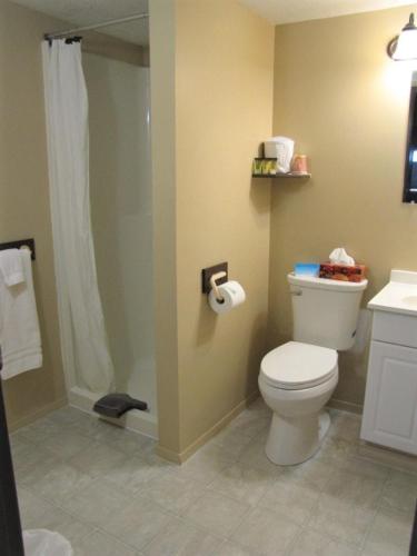 Ένα μπάνιο στο Bear Country Inn and Suites