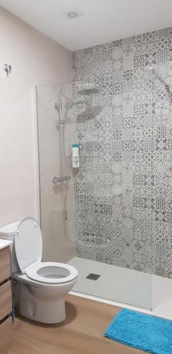 a bathroom with a shower with a toilet and a glass shower at A Solaina in Lariño