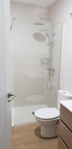a white bathroom with a shower and a toilet at A Solaina in Lariño