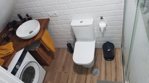 a bathroom with a white toilet and a washing machine at EL PISITO DEL TABLERO in Erjos