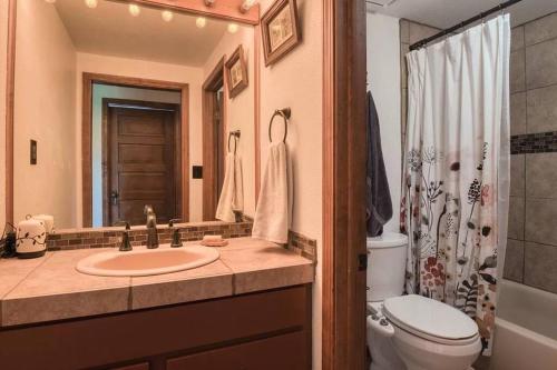 a bathroom with a sink and a toilet and a mirror at Private Mountain Cabin! King Bed 8 Acres Game Rm in Eastonville