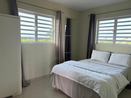 een slaapkamer met een groot bed en 2 ramen bij Brebella New 2 Bedroom Apartment in Willemstad