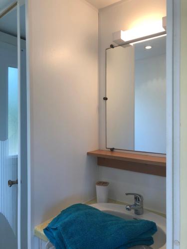 une salle de bain avec un lavabo et un miroir dans l'établissement gite mobil landes, à Mano