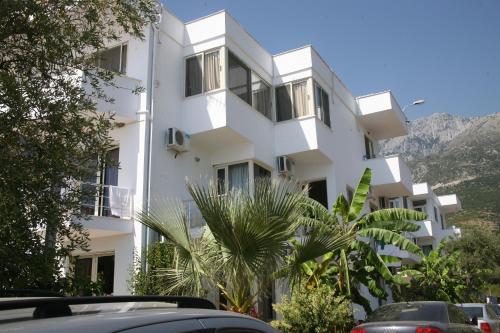 a white building with a palm tree in front of it at Hotel Ionian in Dhërmi