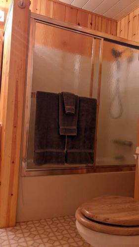 a bathroom with a shower with a toilet and towels at King's Cabin in Wilsonia
