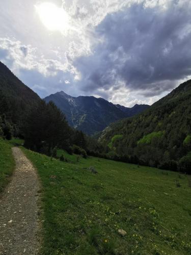 a path in a field with mountains in the background at Dúplex con terraza y vistas panorámicas en Taüll in Taull
