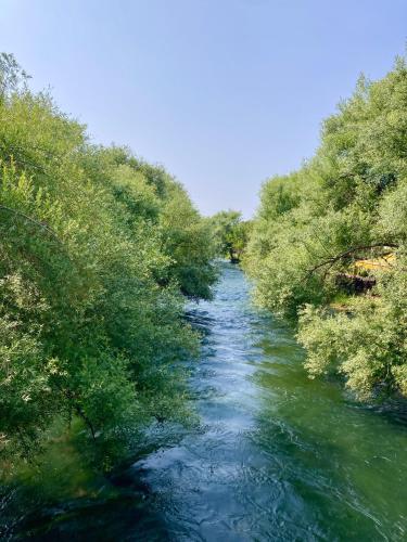 a river with green trees on the side of it at Karden Otel in Antalya