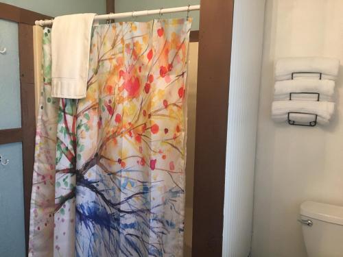 a bathroom with a shower curtain and a toilet at Acorn Hideaways Canton Sweet Tweet Guesthouse King Bed in Canton